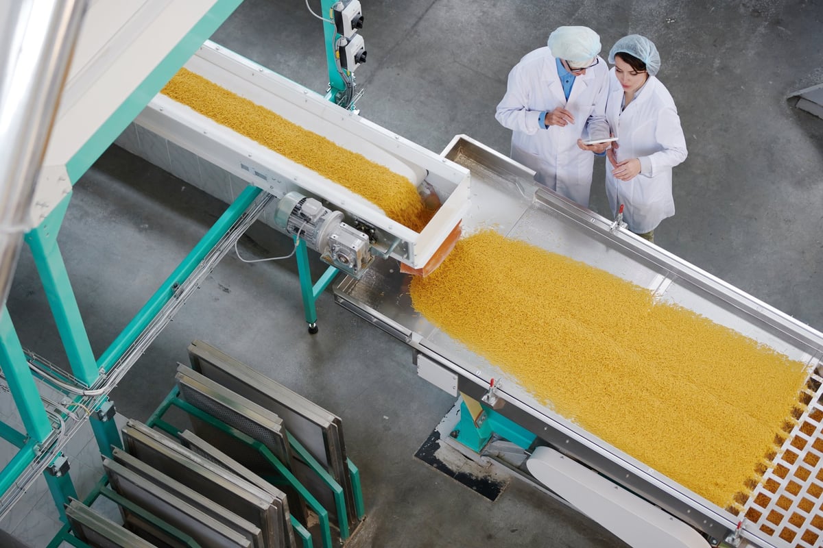Two factory workers standing beside a conveyor belt during quality inspection at a food production plant