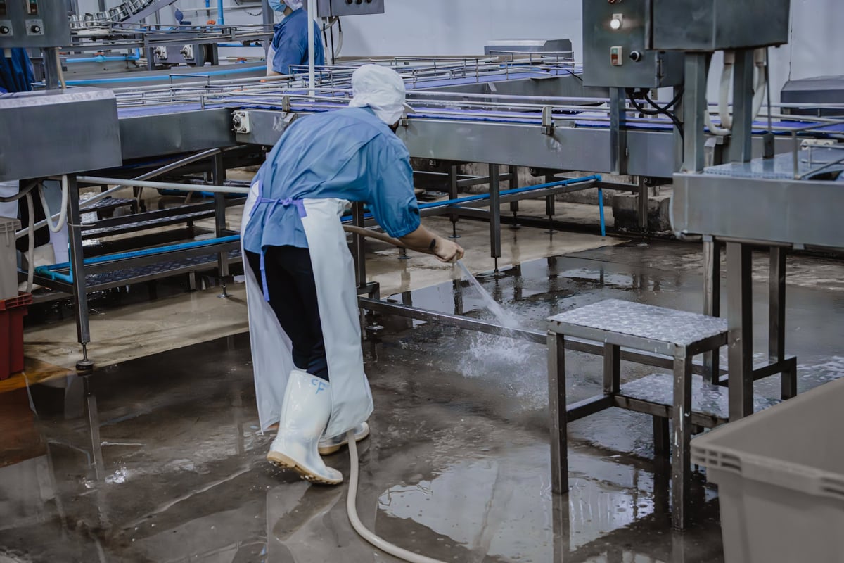 Plant workers cleaning a production line conveyor belt in a food manufacturing facility
